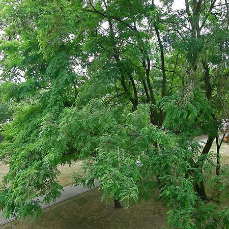 Apartament Na Skrajnej *